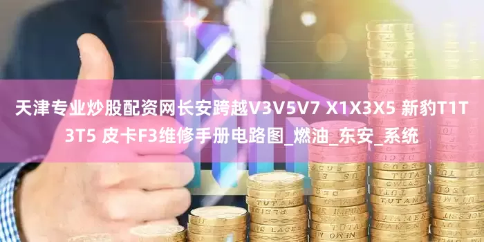 天津专业炒股配资网长安跨越V3V5V7 X1X3X5 新豹T1T3T5 皮卡F3维修手册电路图_燃油_东安_系统