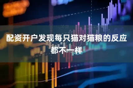 配资开户发现每只猫对猫粮的反应都不一样
