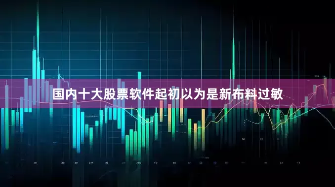 国内十大股票软件起初以为是新布料过敏