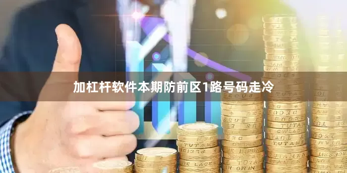 加杠杆软件本期防前区1路号码走冷