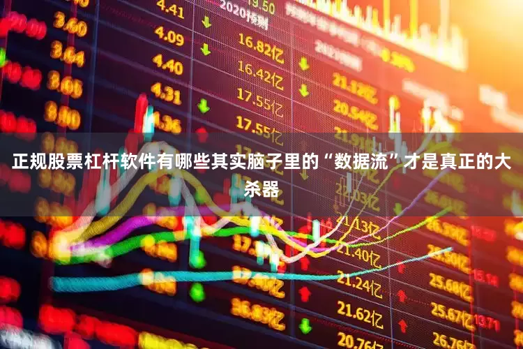 正规股票杠杆软件有哪些其实脑子里的“数据流”才是真正的大杀器