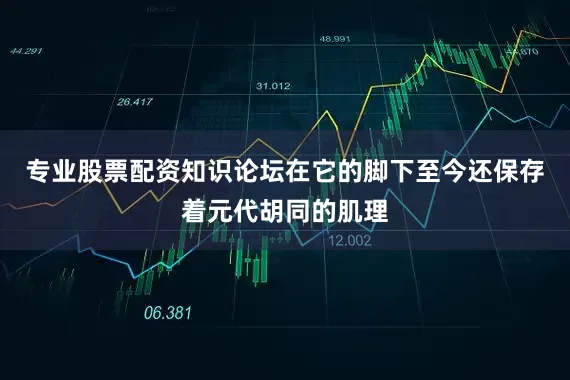 专业股票配资知识论坛在它的脚下至今还保存着元代胡同的肌理
