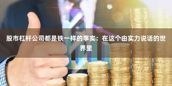 股市杠杆公司都是铁一样的事实：在这个由实力说话的世界里