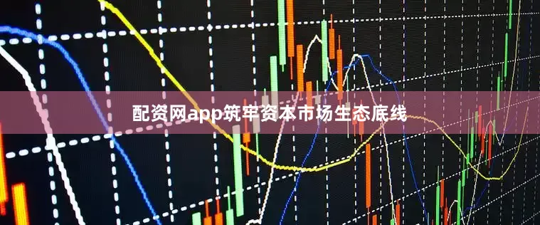配资网app筑牢资本市场生态底线