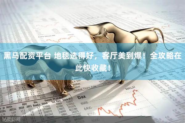 黑马配资平台 地毯选得好，客厅美到爆！全攻略在此快收藏！