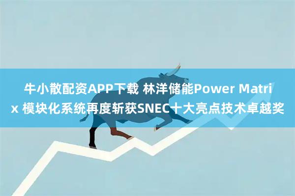 牛小散配资APP下载 林洋储能Power Matrix 模块化系统再度斩获SNEC十大亮点技术卓越奖