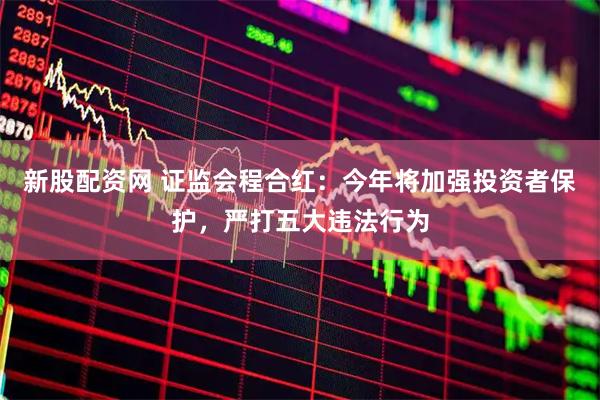 新股配资网 证监会程合红：今年将加强投资者保护，严打五大违法行为